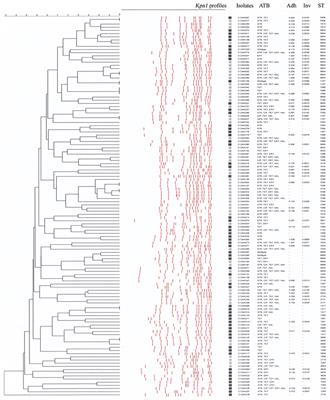 No Clear Differences between Organic or Conventional Pig Farms in the Genetic Diversity or Virulence of Campylobacter coli Isolates